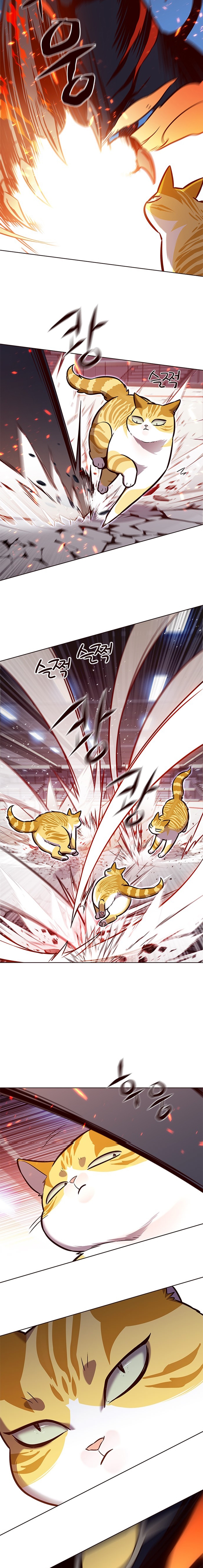 Read Eleceed tr Manga Online