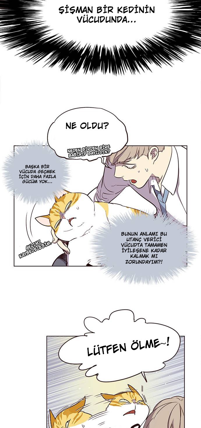 Read Eleceed tr Manga Online