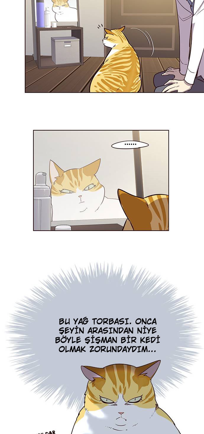 Read Eleceed tr Manga Online