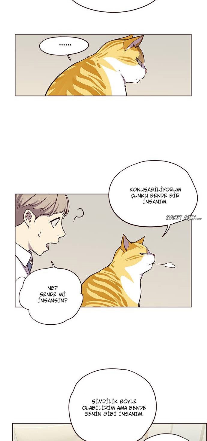 Read Eleceed tr Manga Online