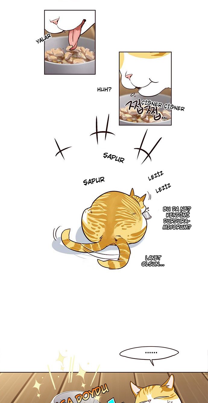 Read Eleceed tr Manga Online