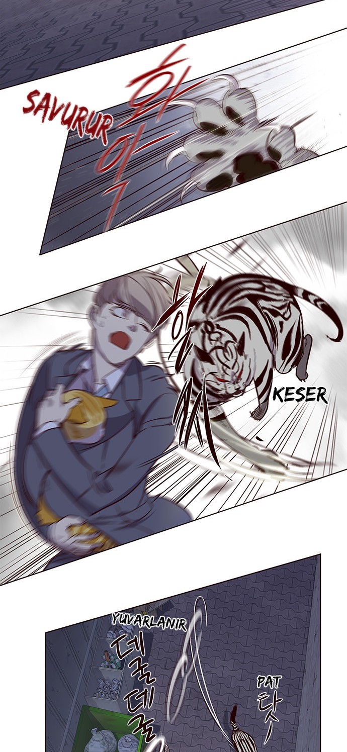 Read Eleceed tr Manga Online