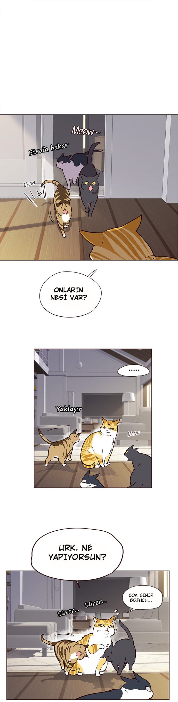 Read Eleceed tr Manga Online