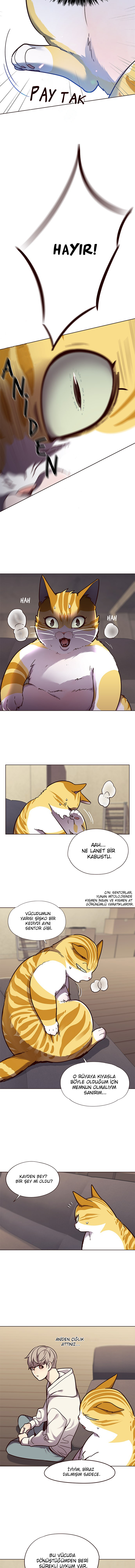 Read Eleceed tr Manga Online