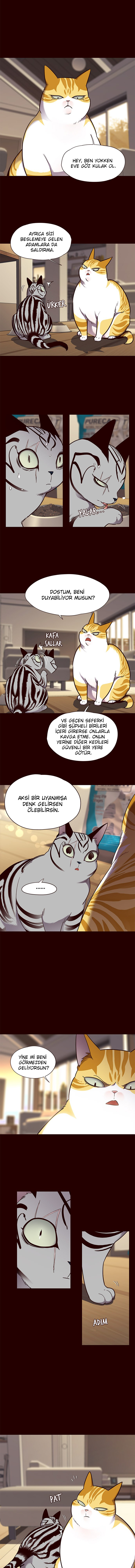 Read Eleceed tr Manga Online
