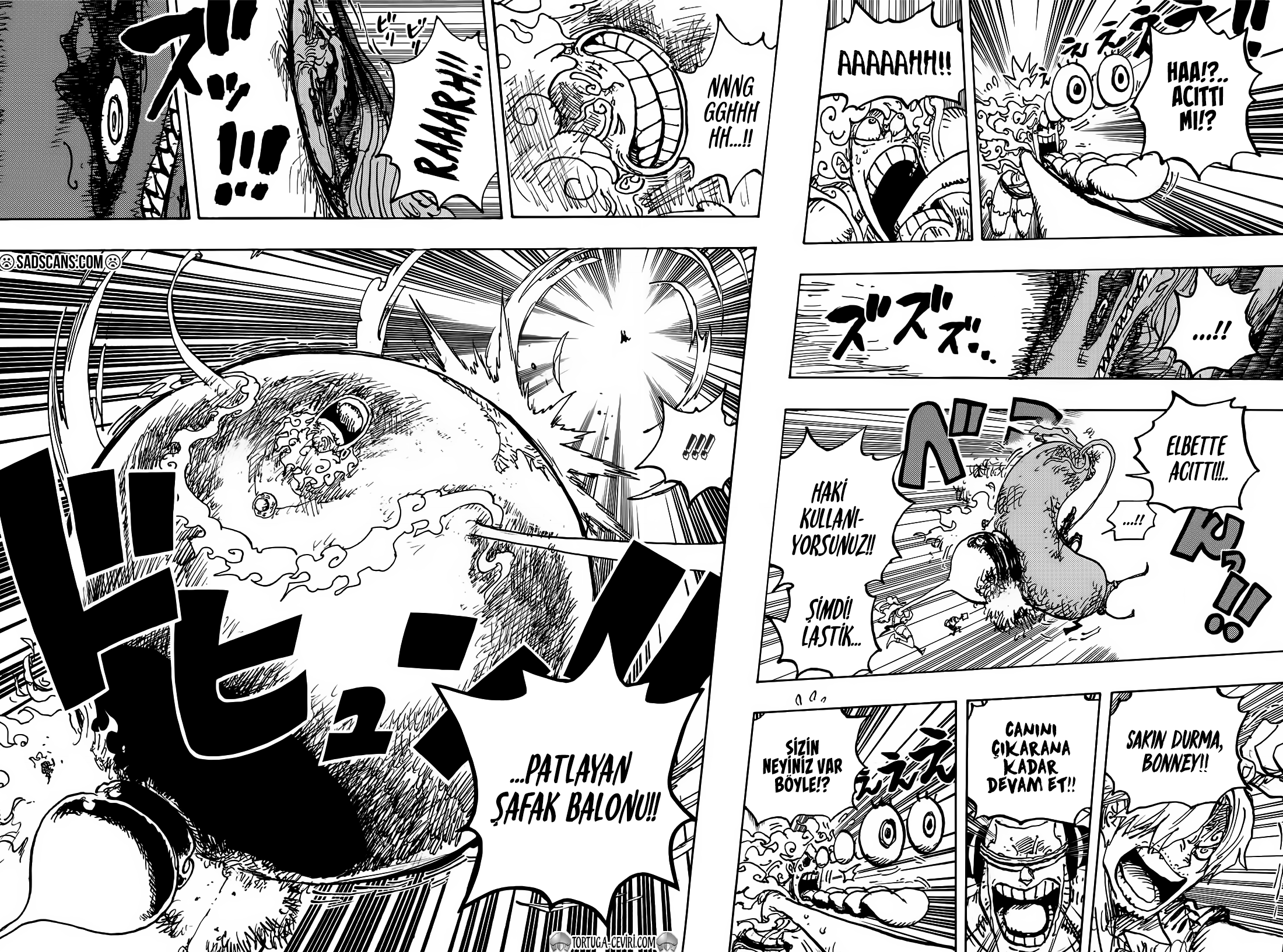 Read One Piece tr Manga Online
