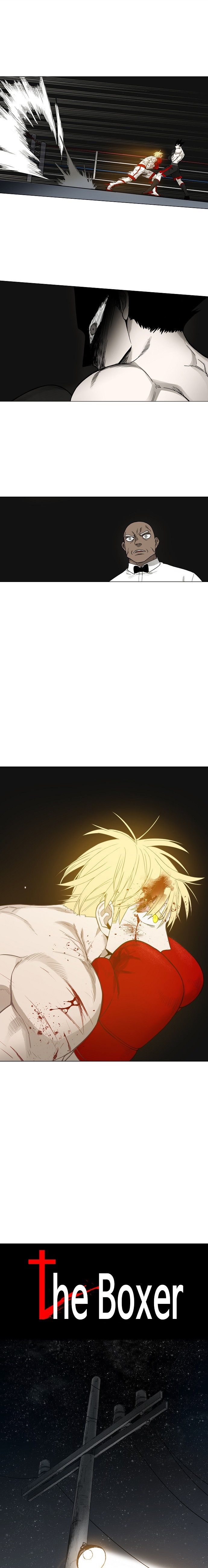 Read The Boxer tr Manga Online