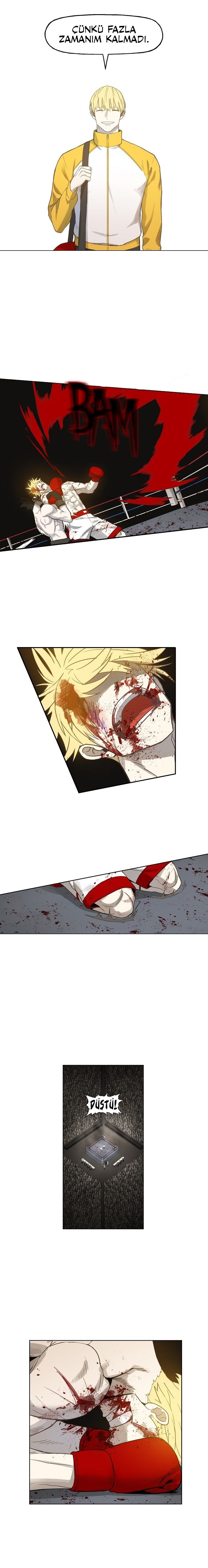 Read The Boxer tr Manga Online