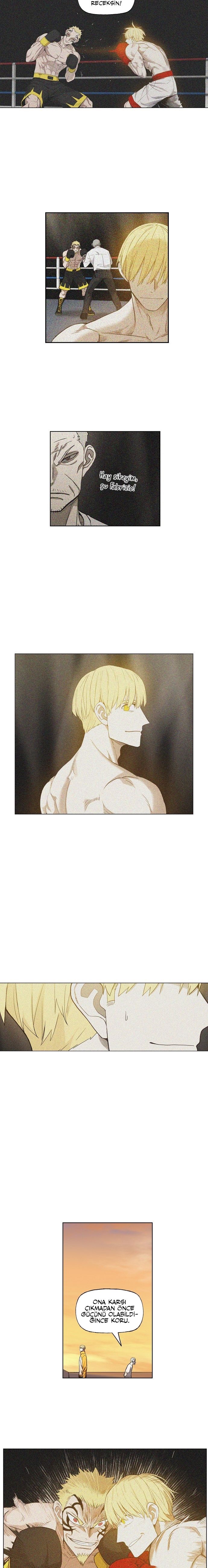 Read The Boxer tr Manga Online