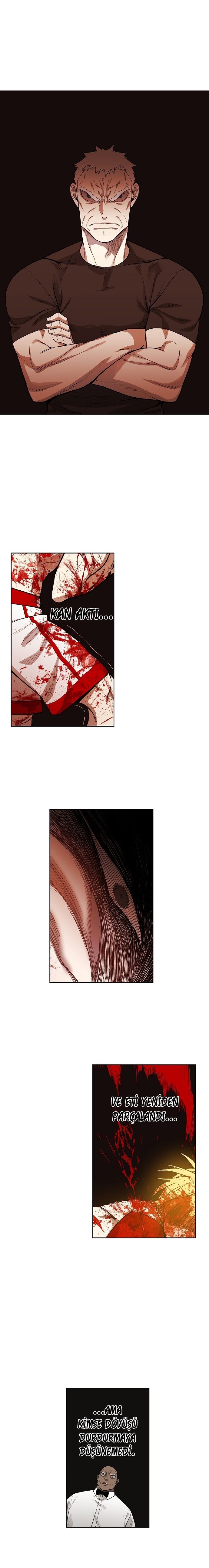 Read The Boxer tr Manga Online
