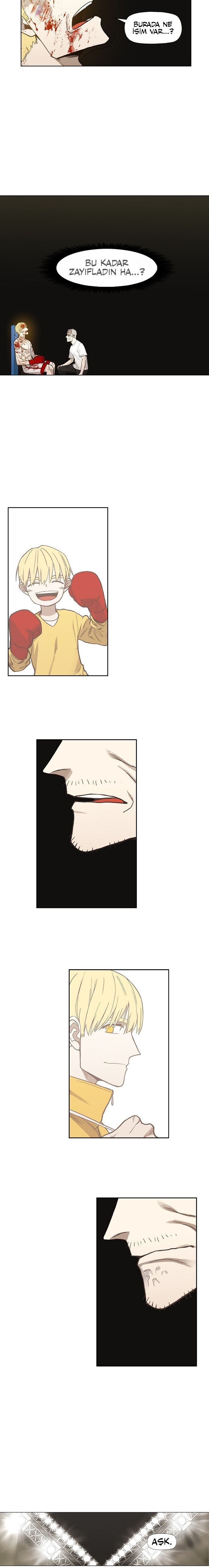 Read The Boxer tr Manga Online