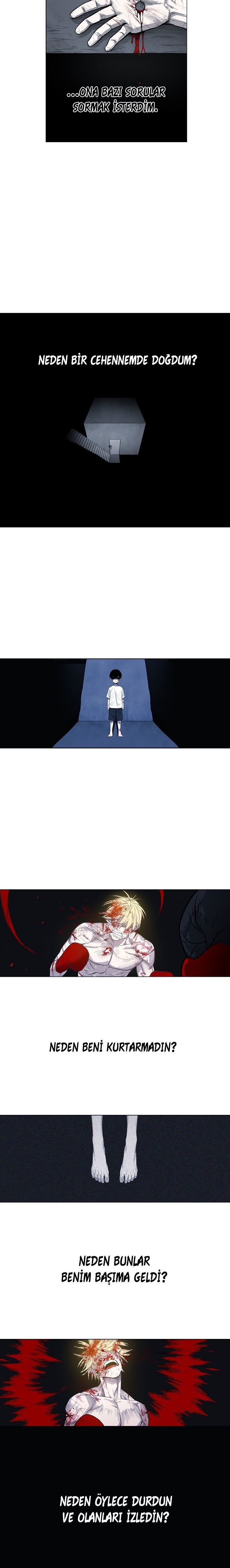 Read The Boxer tr Manga Online