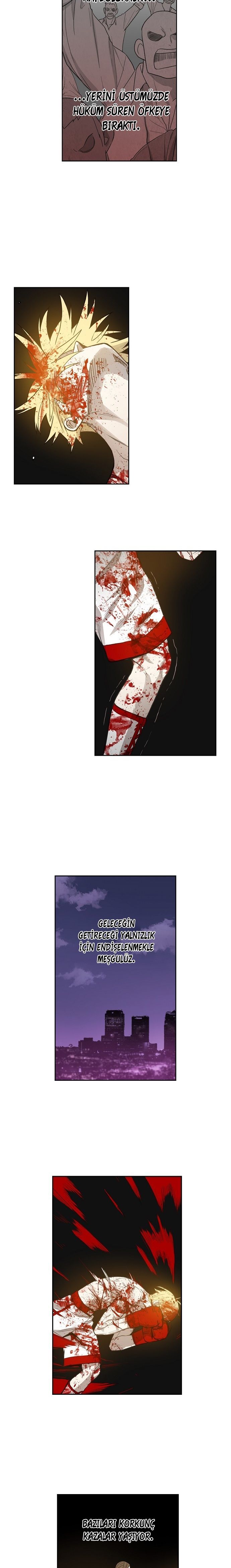 Read The Boxer tr Manga Online