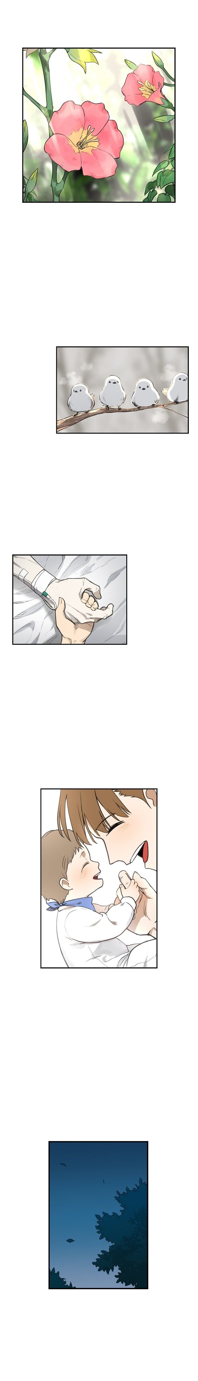 Read The Boxer tr Manga Online