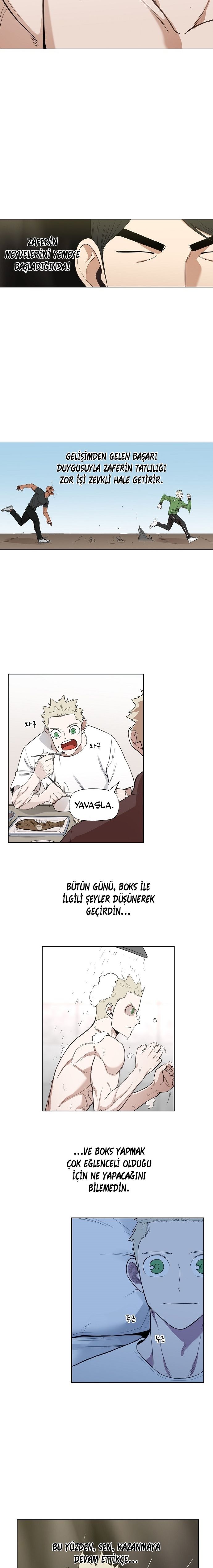 Read The Boxer tr Manga Online