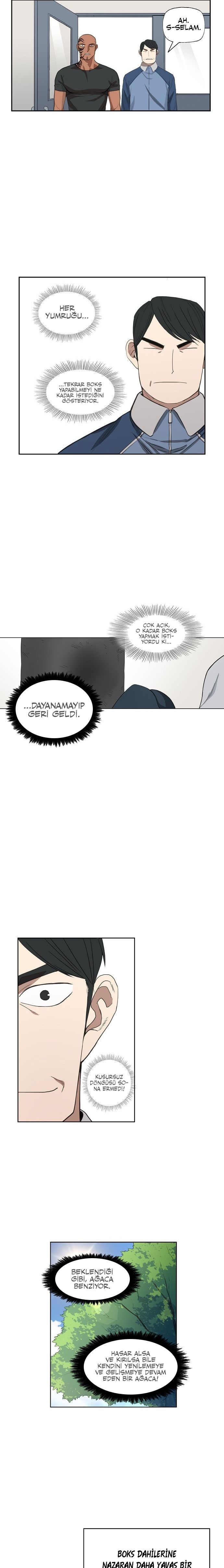 Read The Boxer tr Manga Online