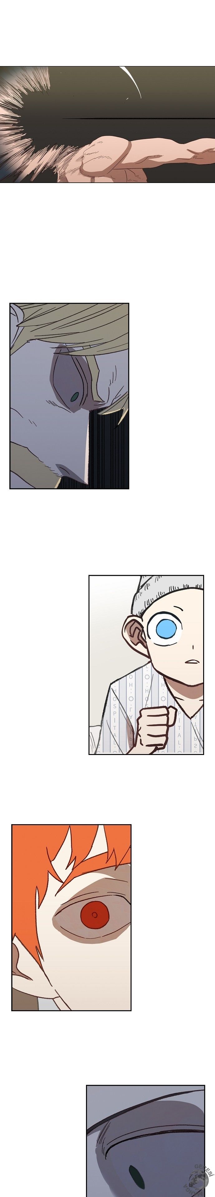 Read The Boxer tr Manga Online