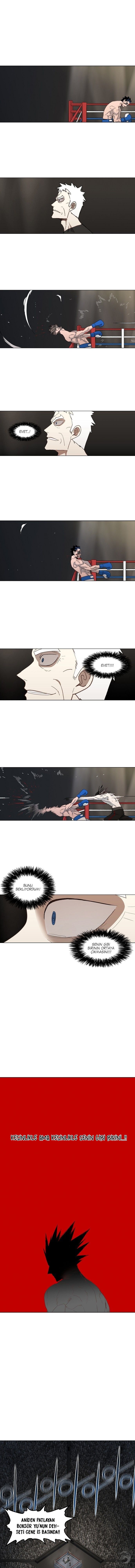 Read The Boxer tr Manga Online
