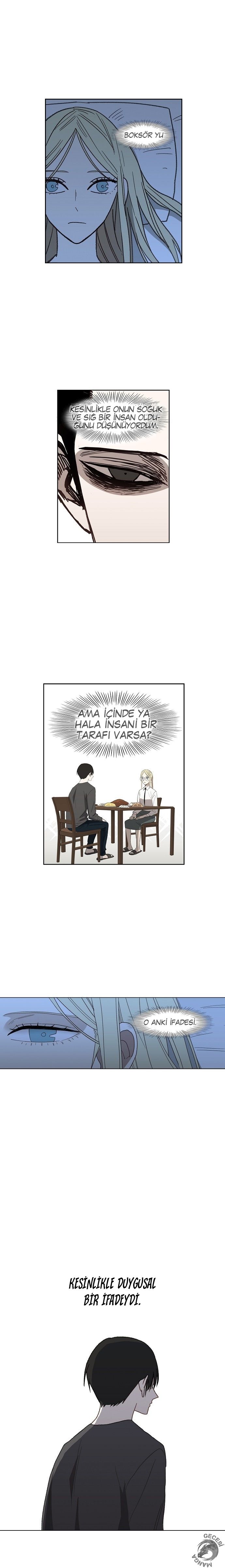 Read The Boxer tr Manga Online
