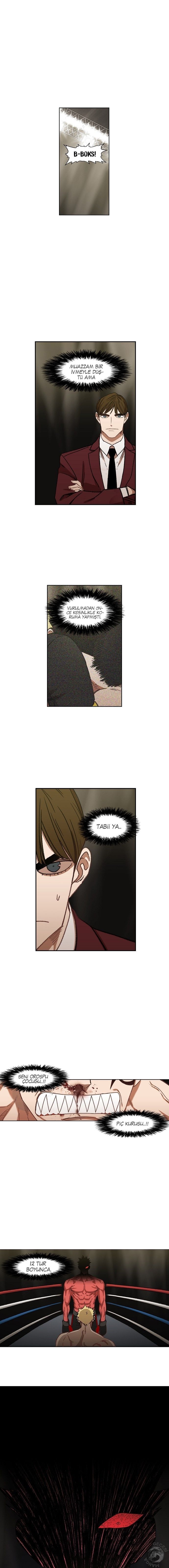 Read The Boxer tr Manga Online