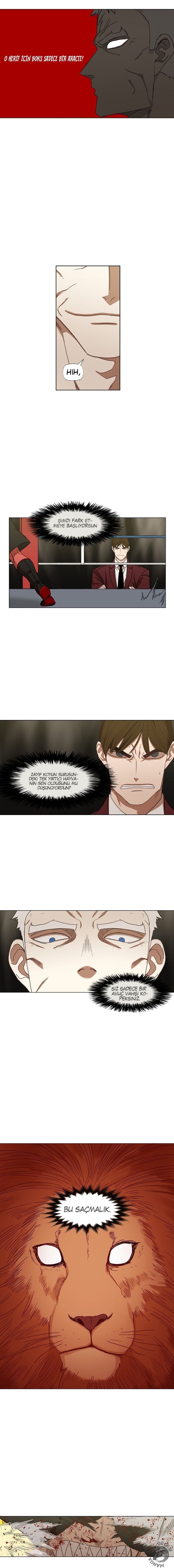 Read The Boxer tr Manga Online