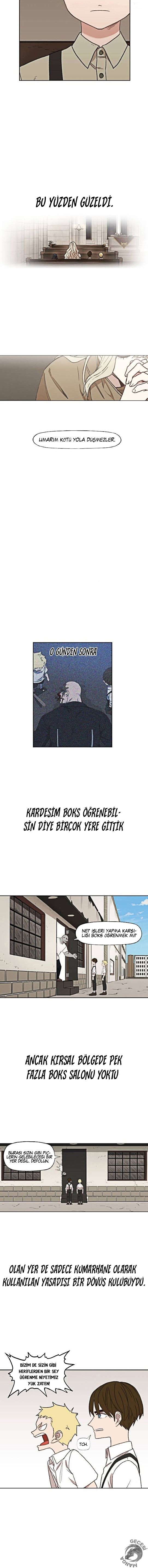 Read The Boxer tr Manga Online