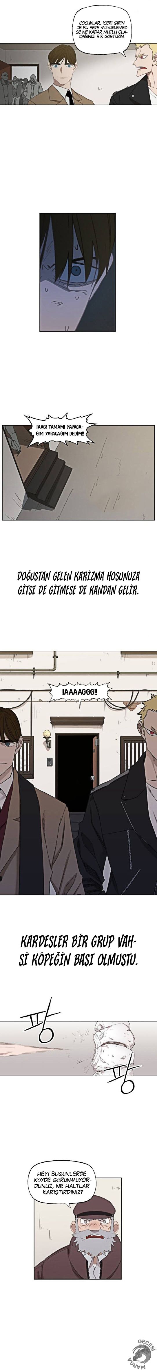 Read The Boxer tr Manga Online