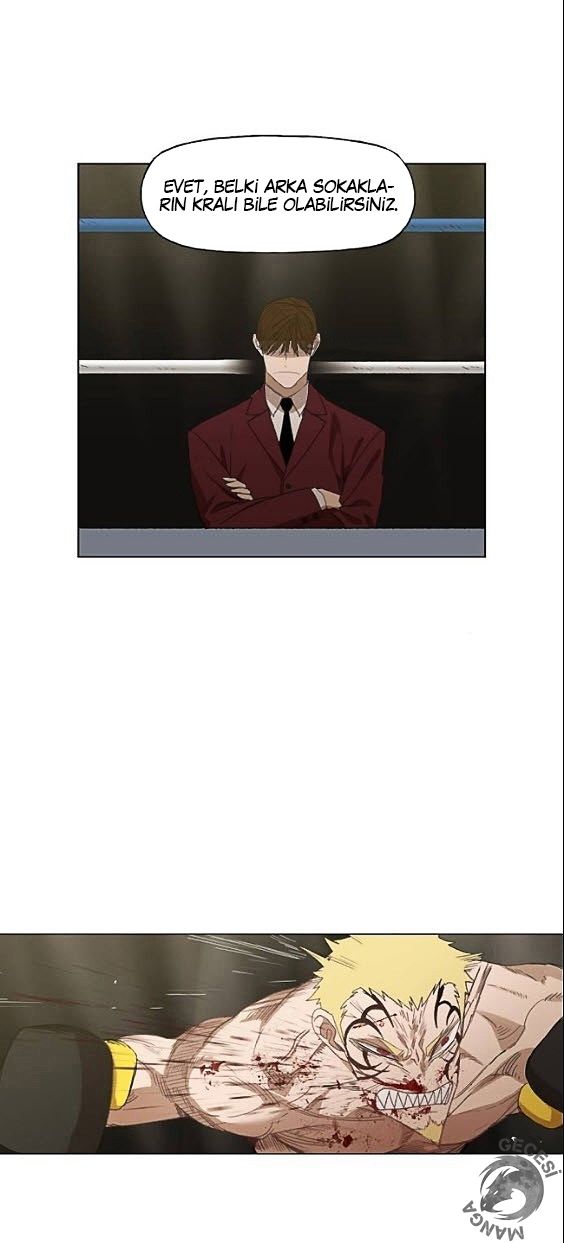 Read The Boxer tr Manga Online