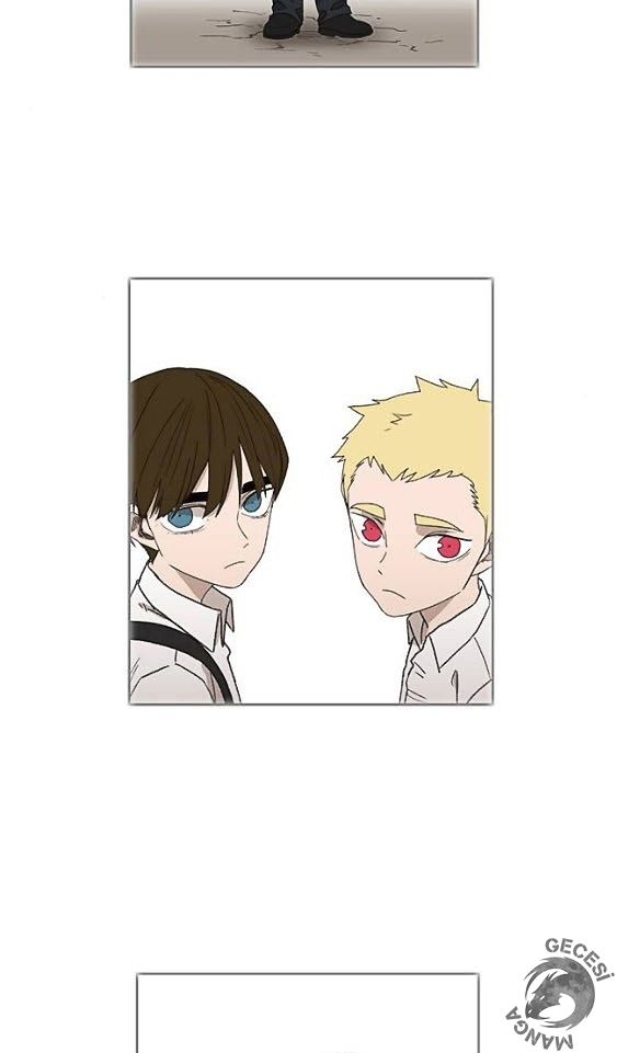 Read The Boxer tr Manga Online