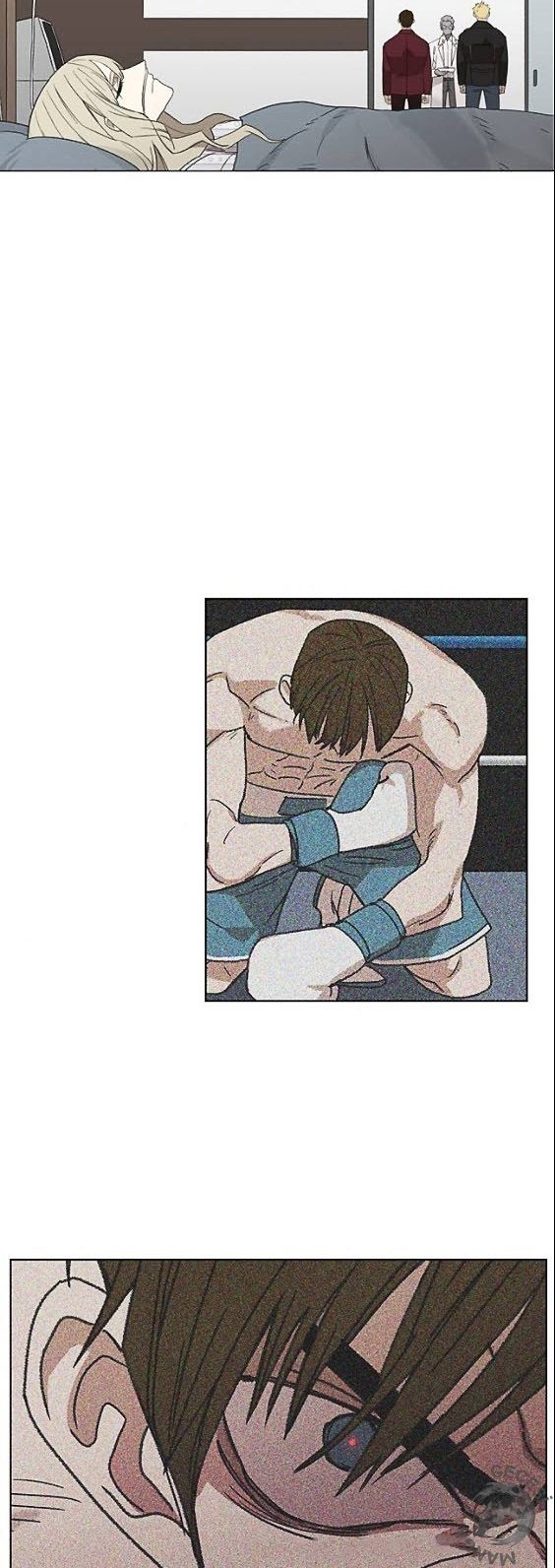Read The Boxer tr Manga Online