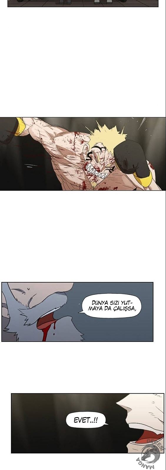 Read The Boxer tr Manga Online