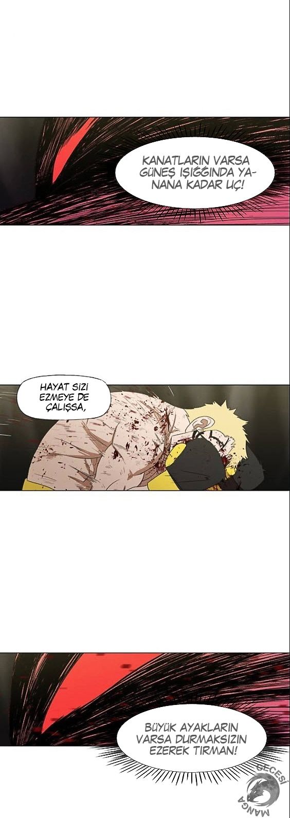 Read The Boxer tr Manga Online