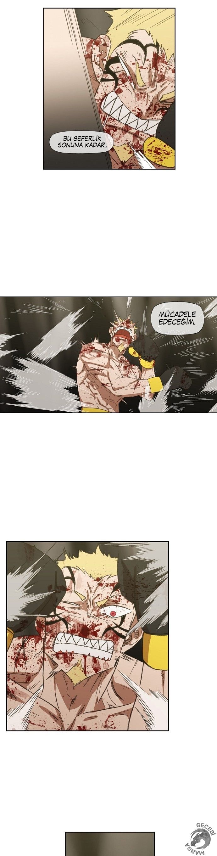 Read The Boxer tr Manga Online