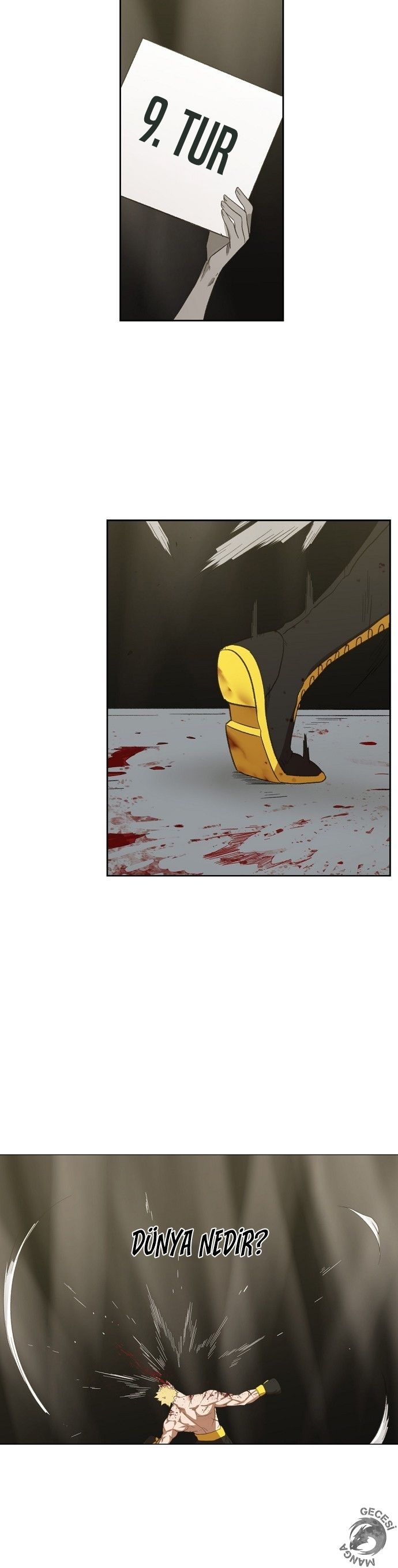 Read The Boxer tr Manga Online