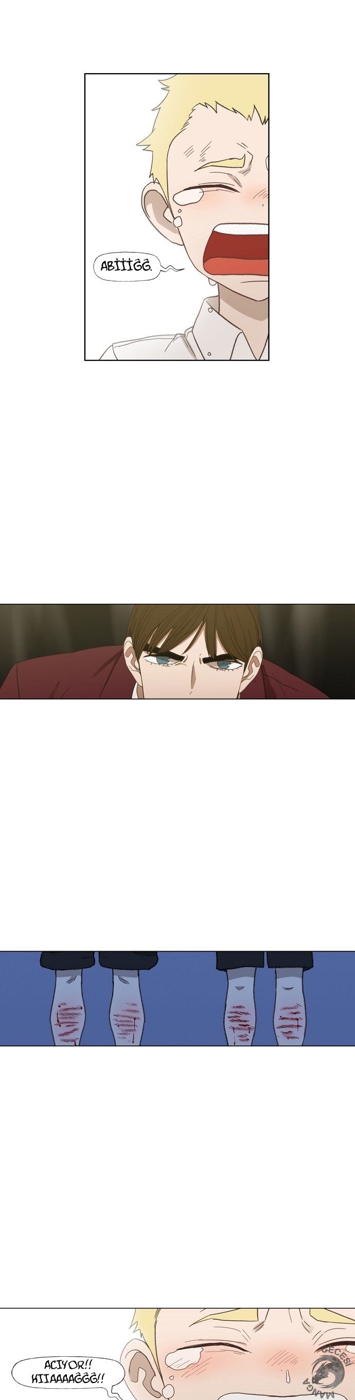 Read The Boxer tr Manga Online