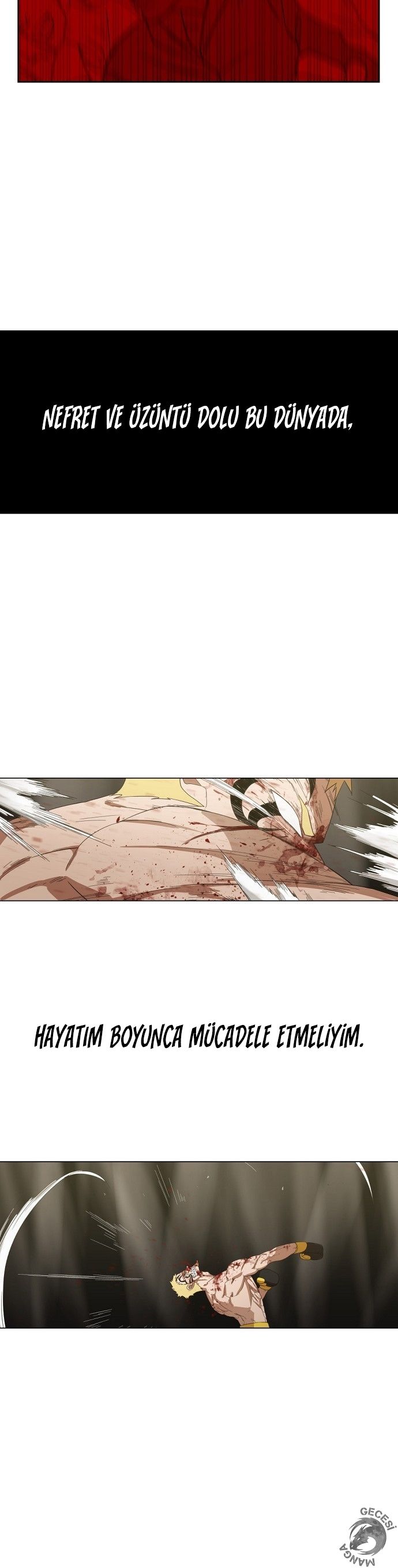 Read The Boxer tr Manga Online