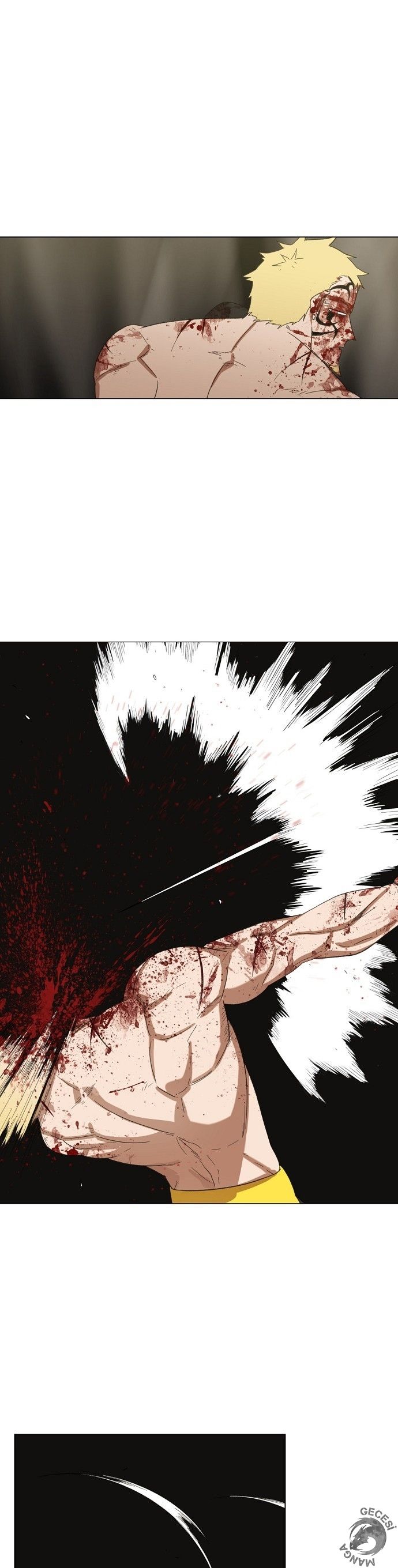 Read The Boxer tr Manga Online