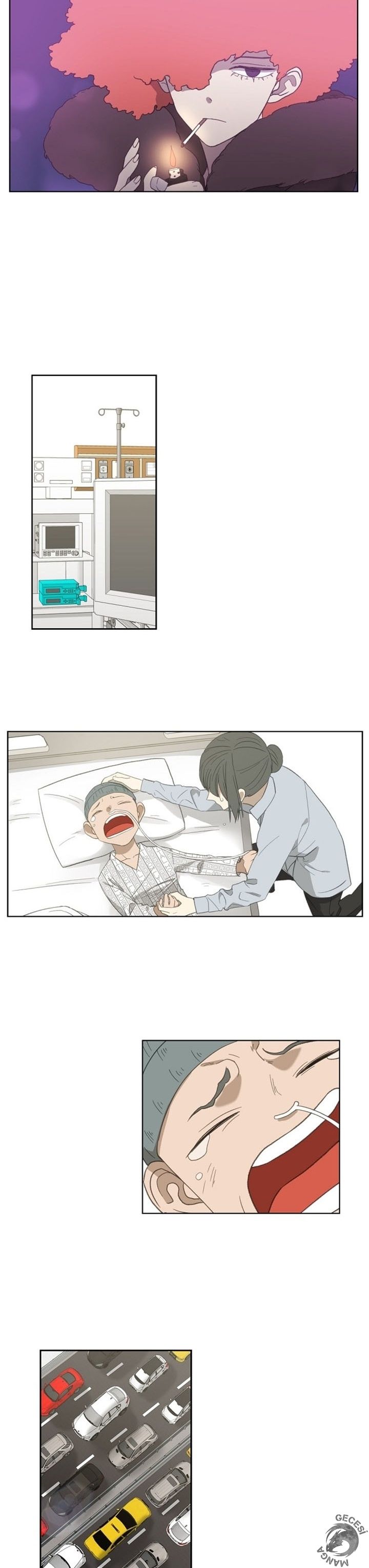 Read The Boxer tr Manga Online
