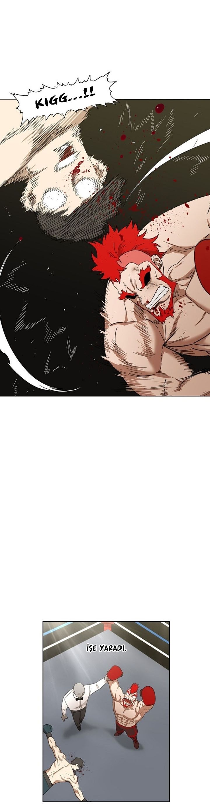 Read The Boxer tr Manga Online