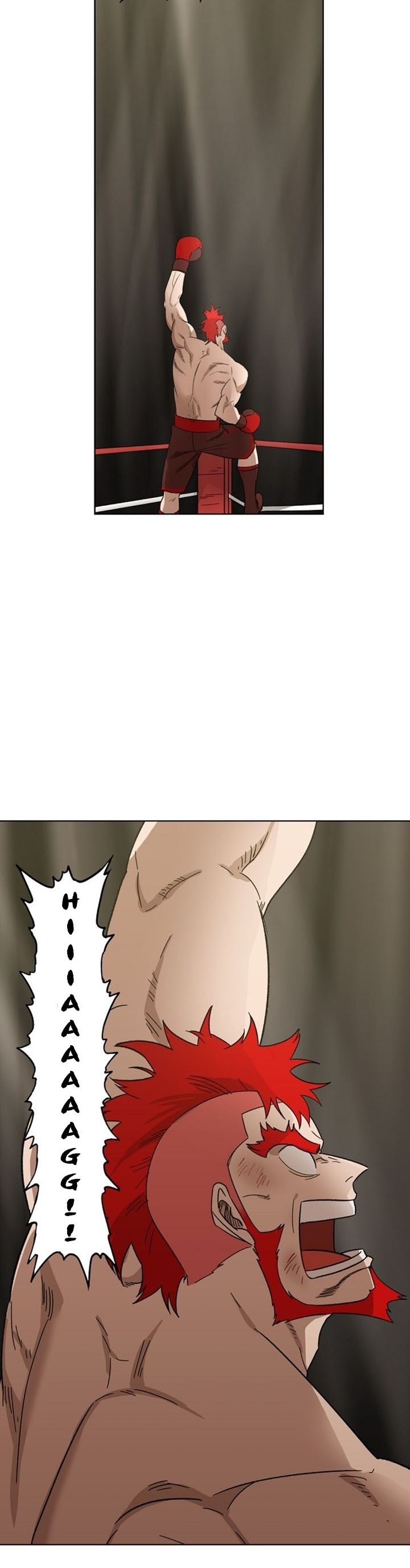 Read The Boxer tr Manga Online