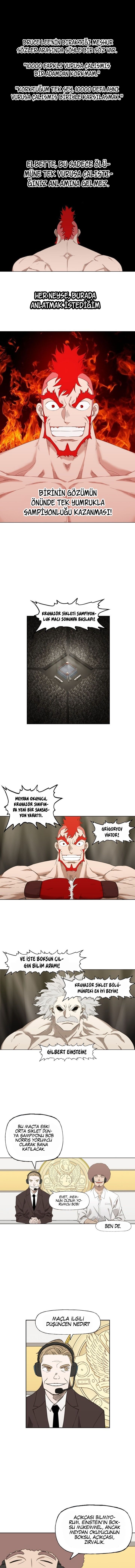 Read The Boxer tr Manga Online