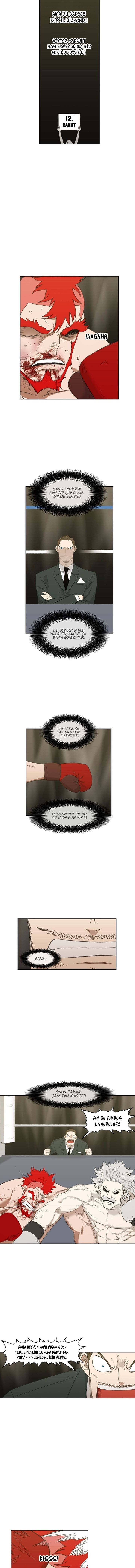 Read The Boxer tr Manga Online