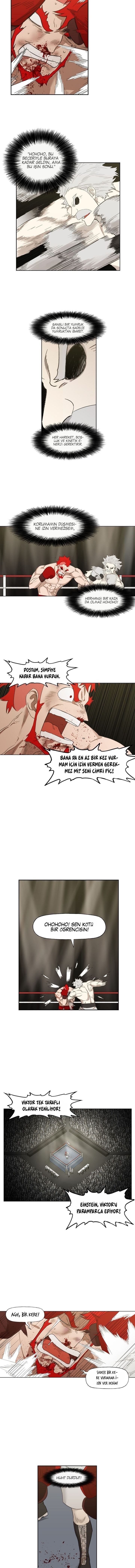 Read The Boxer tr Manga Online
