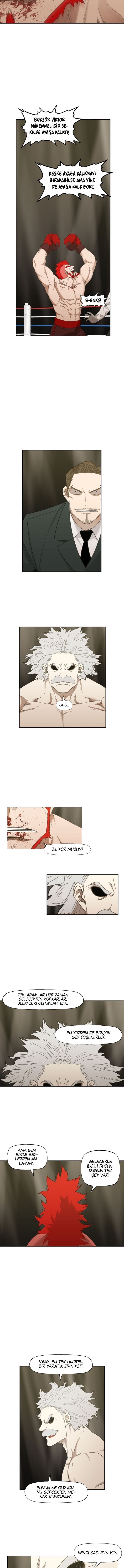 Read The Boxer tr Manga Online