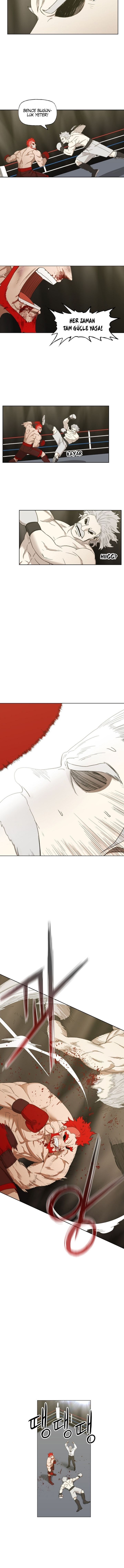 Read The Boxer tr Manga Online