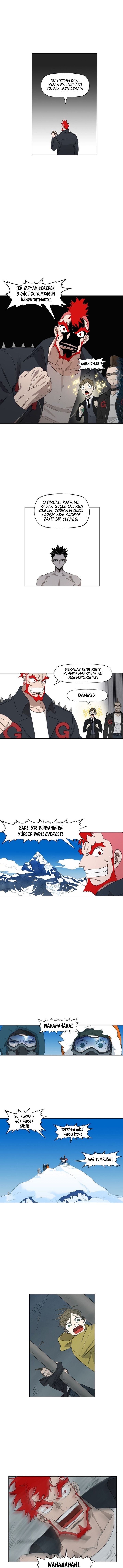 Read The Boxer tr Manga Online