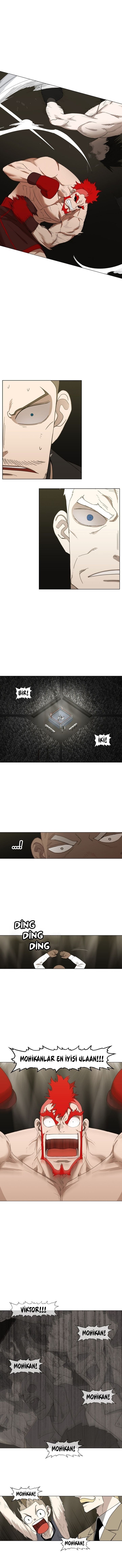 Read The Boxer tr Manga Online