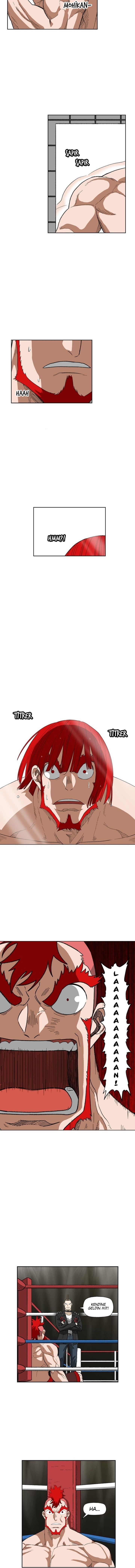Read The Boxer tr Manga Online