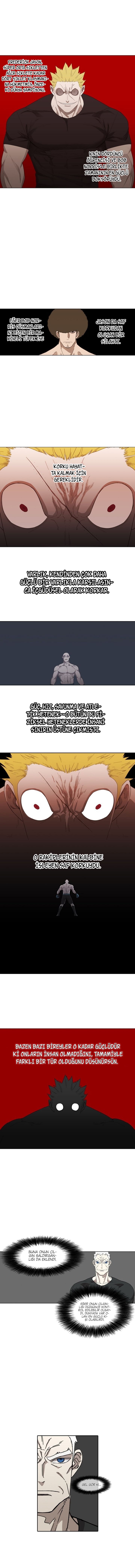 Read The Boxer tr Manga Online