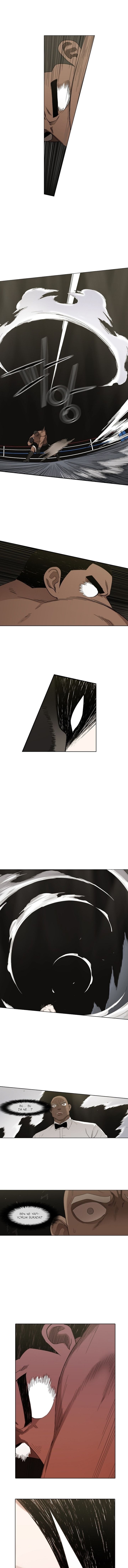 Read The Boxer tr Manga Online
